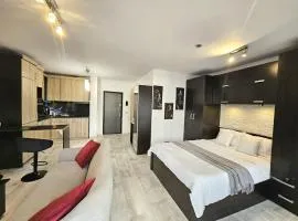 The Solstice Studio Apartment