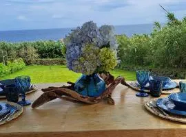 Fajã VinhaMar-Vinyard Cottage by the Sea