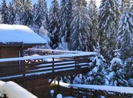Le Refuge de Belbriette, chalet au coeur de la nature avec spa