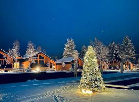 Phoenix Medical Resort, hotel en Skhidnytsya