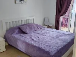Veli Vinogradi