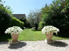 Charmante maison de ville avec jardin et piscine Avignon