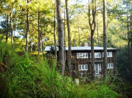 Forest lodge - Entire rental, hotell i Sagada