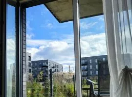 The Lucky Five at Glivia Parking&Garden