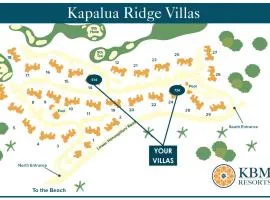 Kapalua Ridge Villas 2 Free Rental Cars KBM Resorts 180 Degree Views 2 Units 2 Bedrooms ML-2162