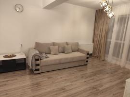 브라쇼브에 위치한 호텔 Appartament Complex Vivamus Brasov