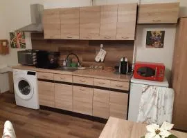 Guest apartment Liana