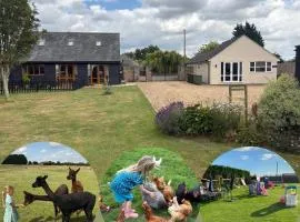 Cosy Annexe With Peaceful Surroundings