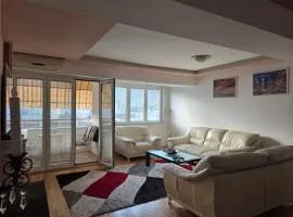 Modern City Apartment