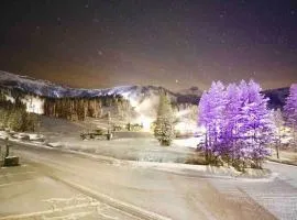 True Ski in out Large 2 bdrm Mtn Views 4 beds