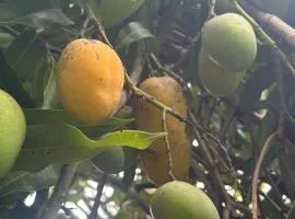 Aconchego e diversão