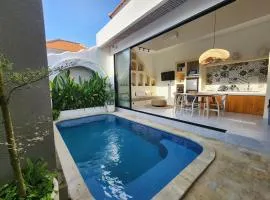 Serenity Private Villa 2BR Oasis in quiet mengwi