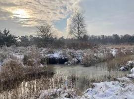 Ostsee Ferienappartements Dierhagen-Strand klein & fein