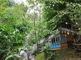 Hornbill Paradise, Munnar
