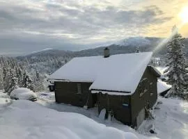 Unique Cabin And Freestanding Sauna With Views