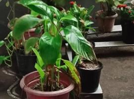 Akarati Rooms & hotels in Nainital, hotel a Devaprayāg