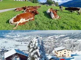 Sauschneidhof - Radstadt