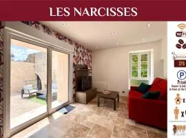Maison avec jacuzzi - Village paisible Sacy - LES NARCISSES