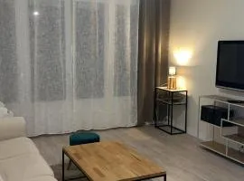 Bel Appartement-T3 Lumineux