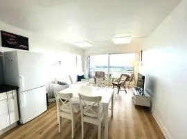 Appartement cosy 4 personnes, belle vue mer, plage de Lomener à 30 m MARIN