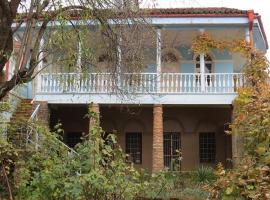 Дом в альпийской зоне, hotel a Tʼetʼri Tsqaro