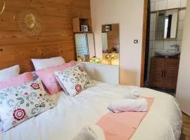 Chambre indépendante tout confort avec douche et WC privés