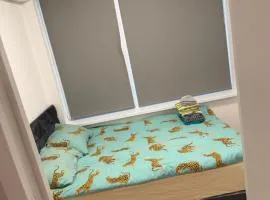 Arnhem Bouwmeesterstraat