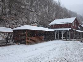 Flowers Cabin, готель у місті Măguri-Răcătău