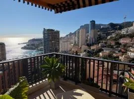 Prestigious apartment with pool