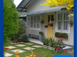 Tiny Art House with Garden