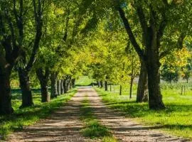 Domaine familial la marjoline