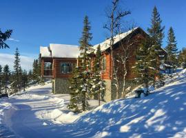 Timber Cottage With Ski-Inski-Out Access, хотел в Hallen