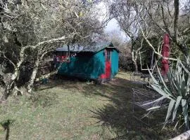 Cabane sous les oliviers
