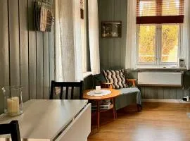 Cozy Cabin In Vrådal Close To Nature