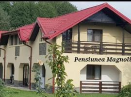 Pensiunea Magnolia din Tismana, hotel in Tismana