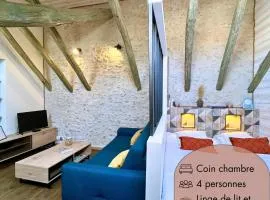 Entre charme & authenticité en hypercentre de Blois