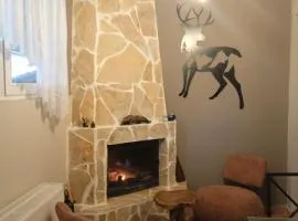 Chrysoula's home -koziakas- PYLI