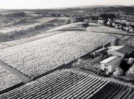 Weingut Freimuth