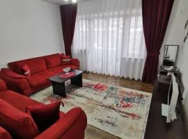 Star Apartment