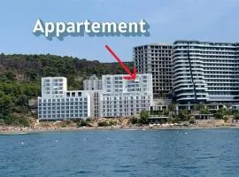 Ocean View Beach Apartment