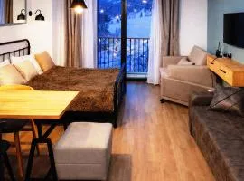 Apartment near ski Resort Bakuriani