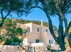 Grand Family Villa by the Sea