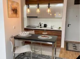 Vrdnik Residence - Apartmani Anonim 1 i 2