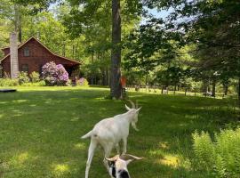 Log Cabin at the Goat Sanctuary, viešbutis mieste Napanoch