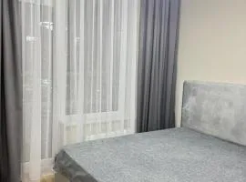 1-комнатная квартира Delta