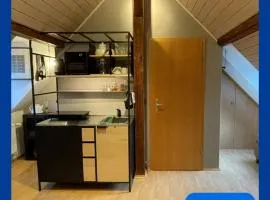 Modernes 1-Raum-Apartment