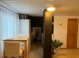 Cozy attic with a view of the northern lights