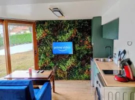 Jungle room au centre des Carroz