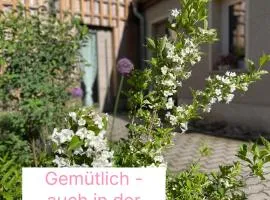 Kochstedter Wohnstuben - Wohnen mit Naturbaustoffen in der Bauhausstadt Dessau