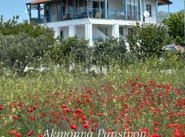 Viesnīca Akmonya Pansiyon pilsētā Eriklice